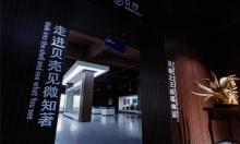 贝壳王国16