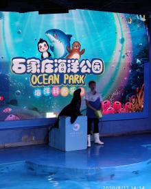 石家庄海洋公园6
