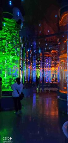 石家庄海洋公园13