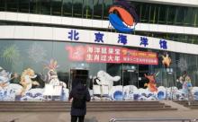 石家庄海洋公园9