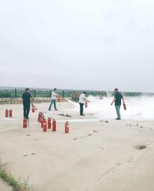 黄金海岸4