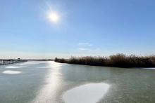 黄河入海口6