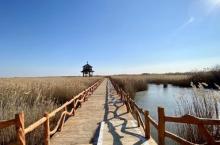 黄河入海口8