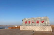 黄河入海口7