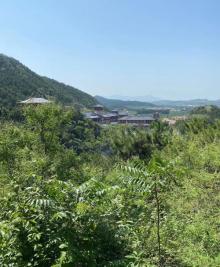 密苑云顶乐园24