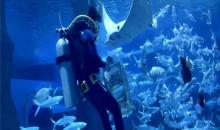 圣蓝海洋公园16