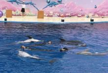 圣蓝海洋公园28