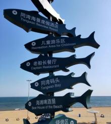 东戴河21