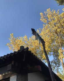 秦皇求仙入海处16