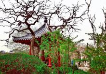 五龙潭公园23