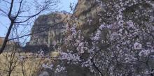 百里峡18