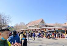 石家庄市动物园29