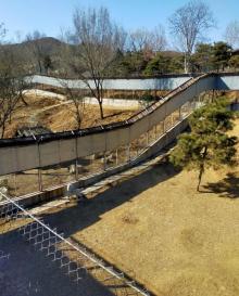 石家庄市动物园24