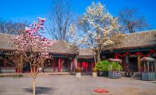 荣国府与宁荣街3