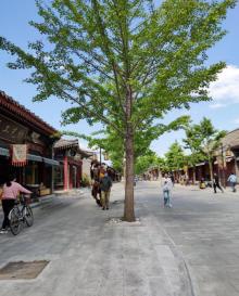 山海关古城景区28