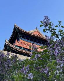 山海关古城景区3
