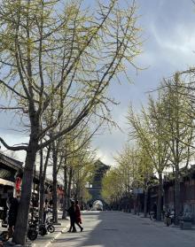 山海关古城景区8