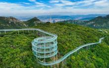 山东文旅・红叶柿岩旅游区5
