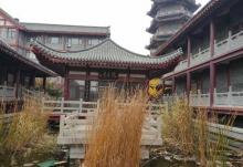 青州宋城14