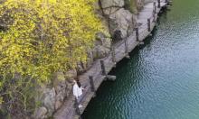 九如山休闲旅游度假风景区16