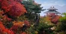 九如山休闲旅游度假风景区14