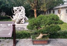 青州古城21