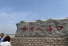 黄河口生态旅游区18