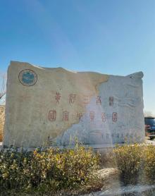 黄河口生态旅游区25