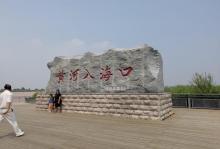 黄河口生态旅游区7