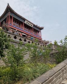 老龙头17