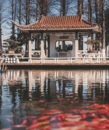 大明湖景区19