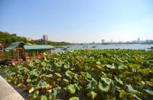 大明湖景区25