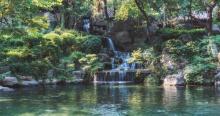 趵突泉景区17