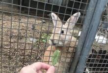 津杨风情家庭农场5