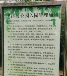 卫津河公园1