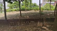 卫津河公园2