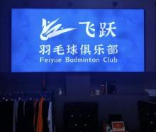 飞跃体育2