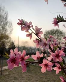小穿芳峪村4