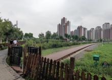李七庄铁路公园2