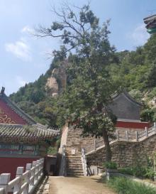 上方寺9