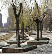 太湖路公园1