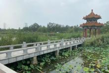 金水公园3