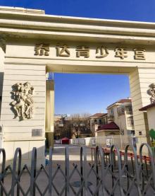 泰达青少年宫少儿艺术团1