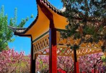 王串场公园1