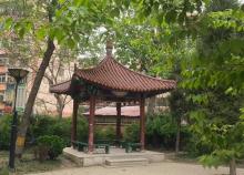唐口公园2