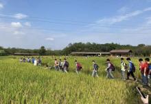岳秀庄特色旅游景区14
