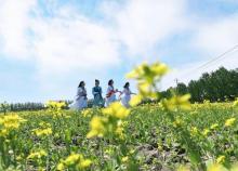 岳秀庄特色旅游景区4