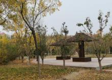 华新街景观湖公园4