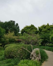 嘉泰公园1