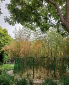 嘉泰公园5